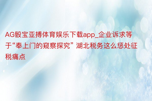 AG骰宝亚搏体育娱乐下载app_企业诉求等于“奉上门的窥察探究” 湖北税务这么惩处征税痛点