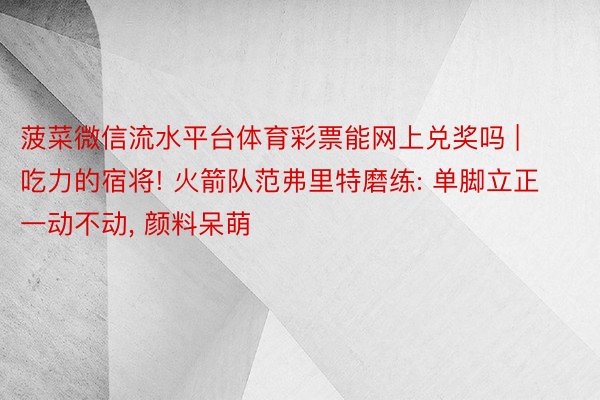 菠菜微信流水平台体育彩票能网上兑奖吗 | 吃力的宿将! 火箭队范弗里特磨练: 单脚立正一动不动, 颜料呆萌
